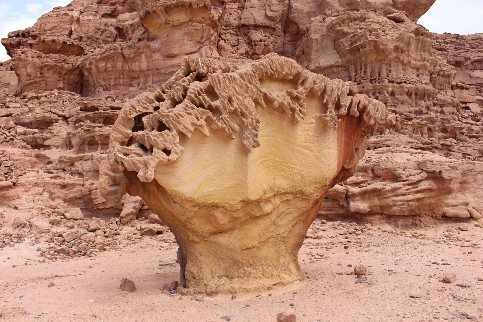 The Modern Desert: A Landscape Shaped by Water (image credits: wikimedia)