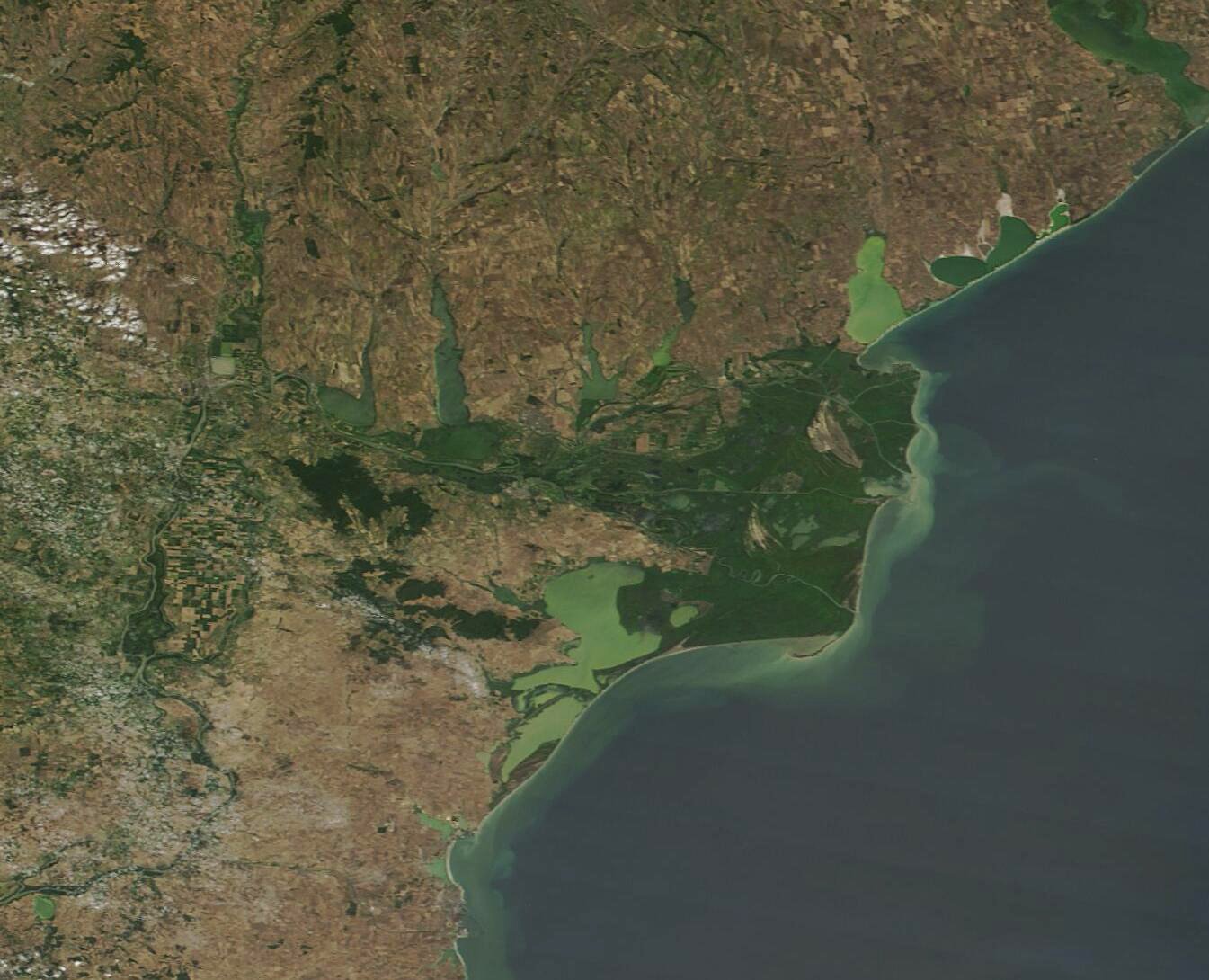 Wetland Wonders in the Danube Delta (image credits: wikimedia)
