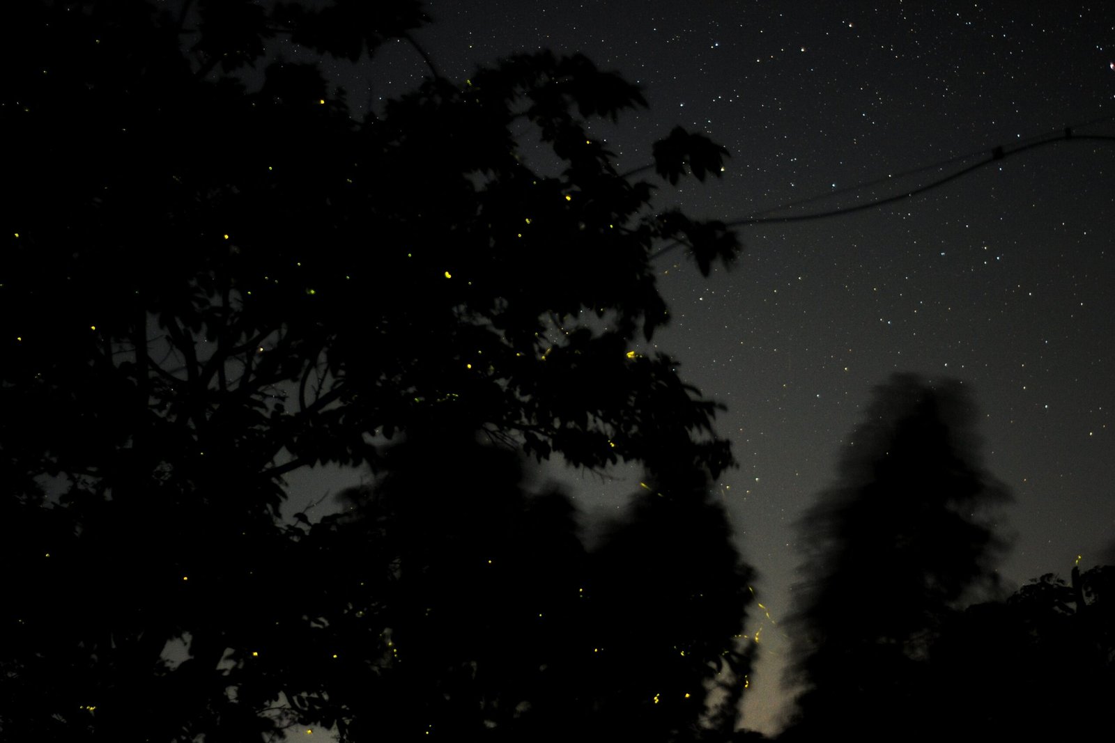 The Emotional Impact of a Summer Night (image credits: wikimedia)