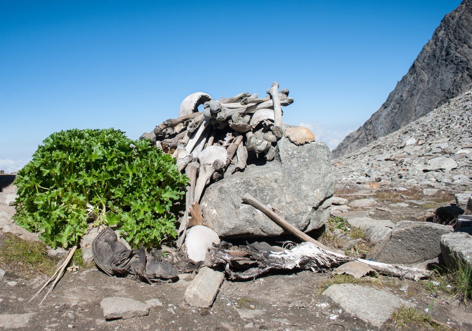 The Enigmatic Discovery of Skeleton Lake (image credits: wikimedia)