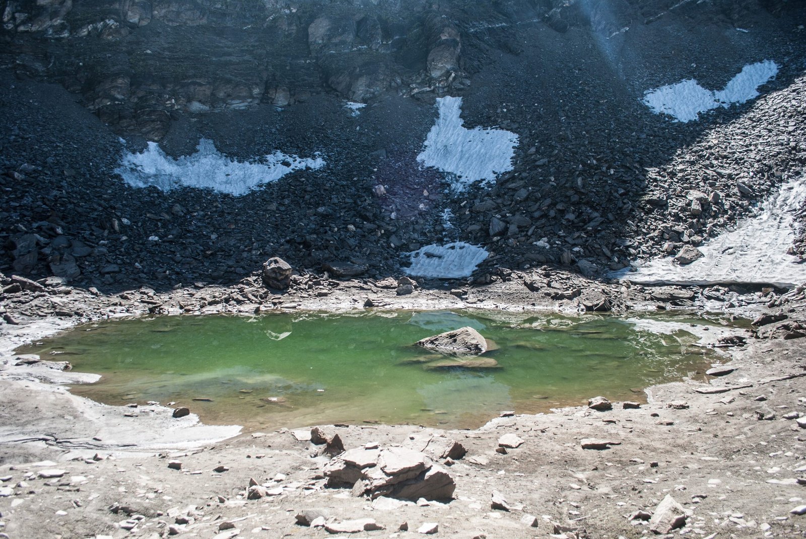 Clues from the Bones: The Fatal Blow (image credits: wikimedia)