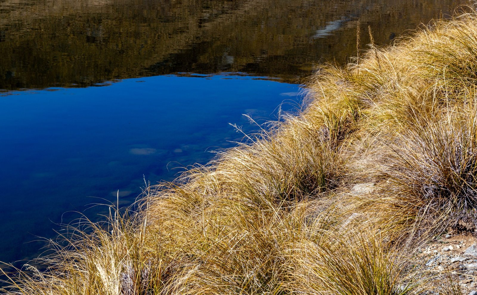 The Role of Climate and Preservation (image credits: wikimedia)