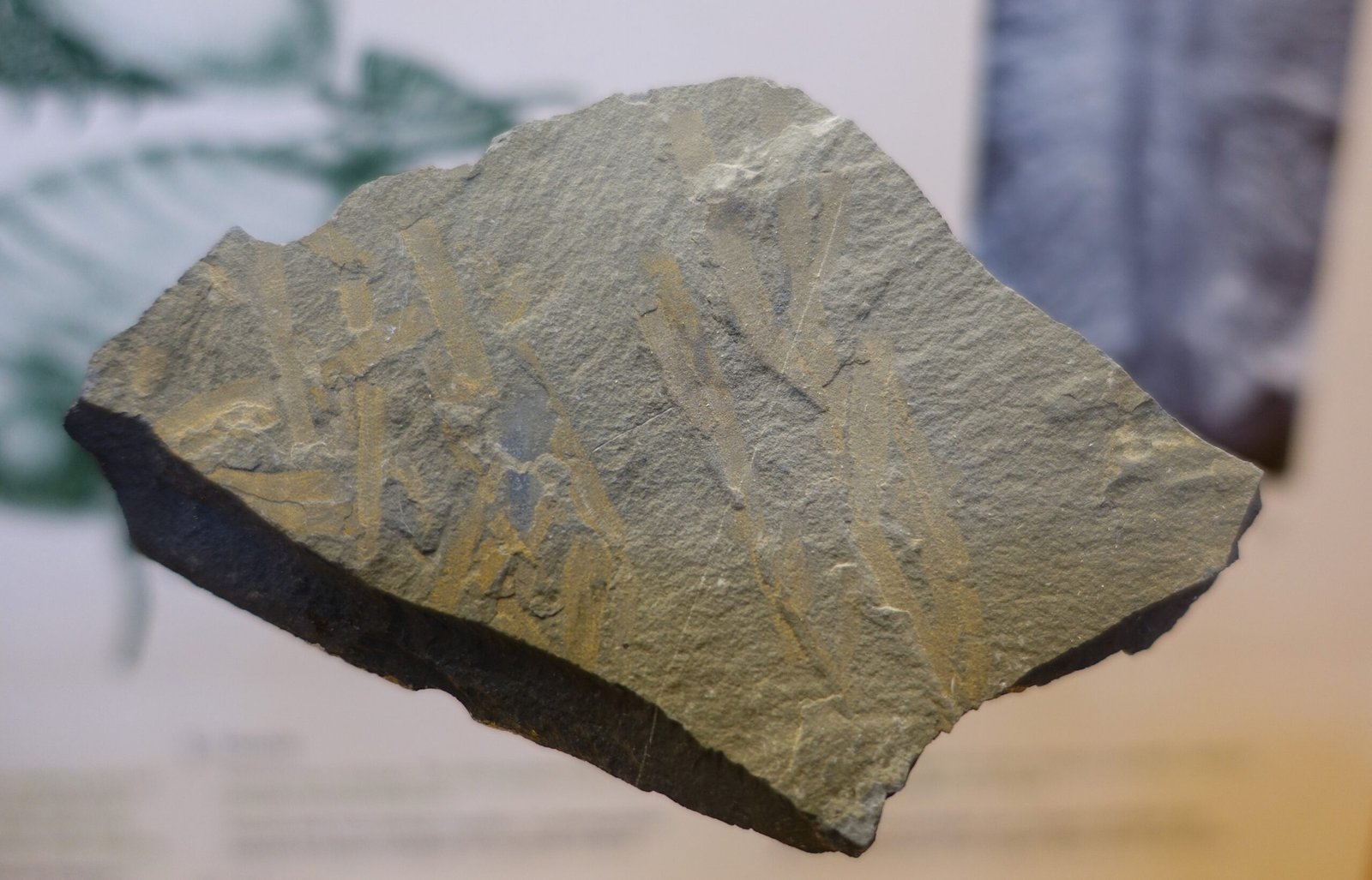 Modern Technology Meets Ancient Mysteries (image credits: wikimedia)