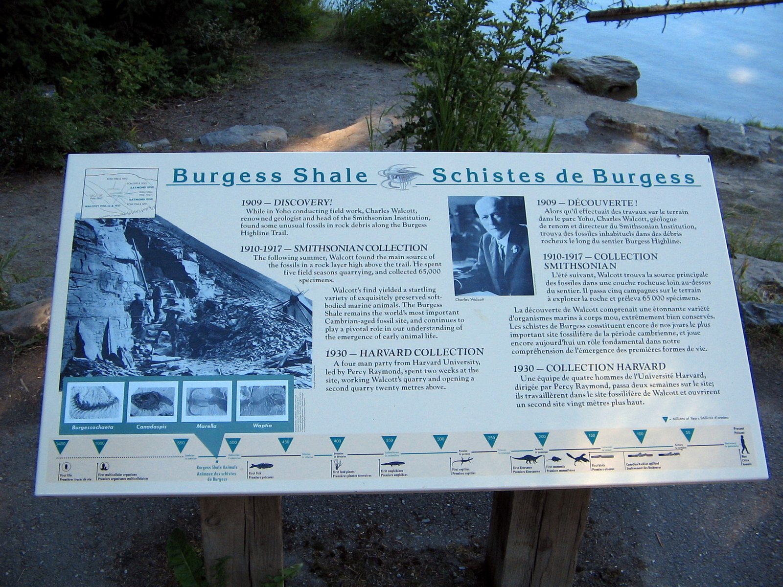 Visiting the Burgess Shale Today (image credits: wikimedia)
