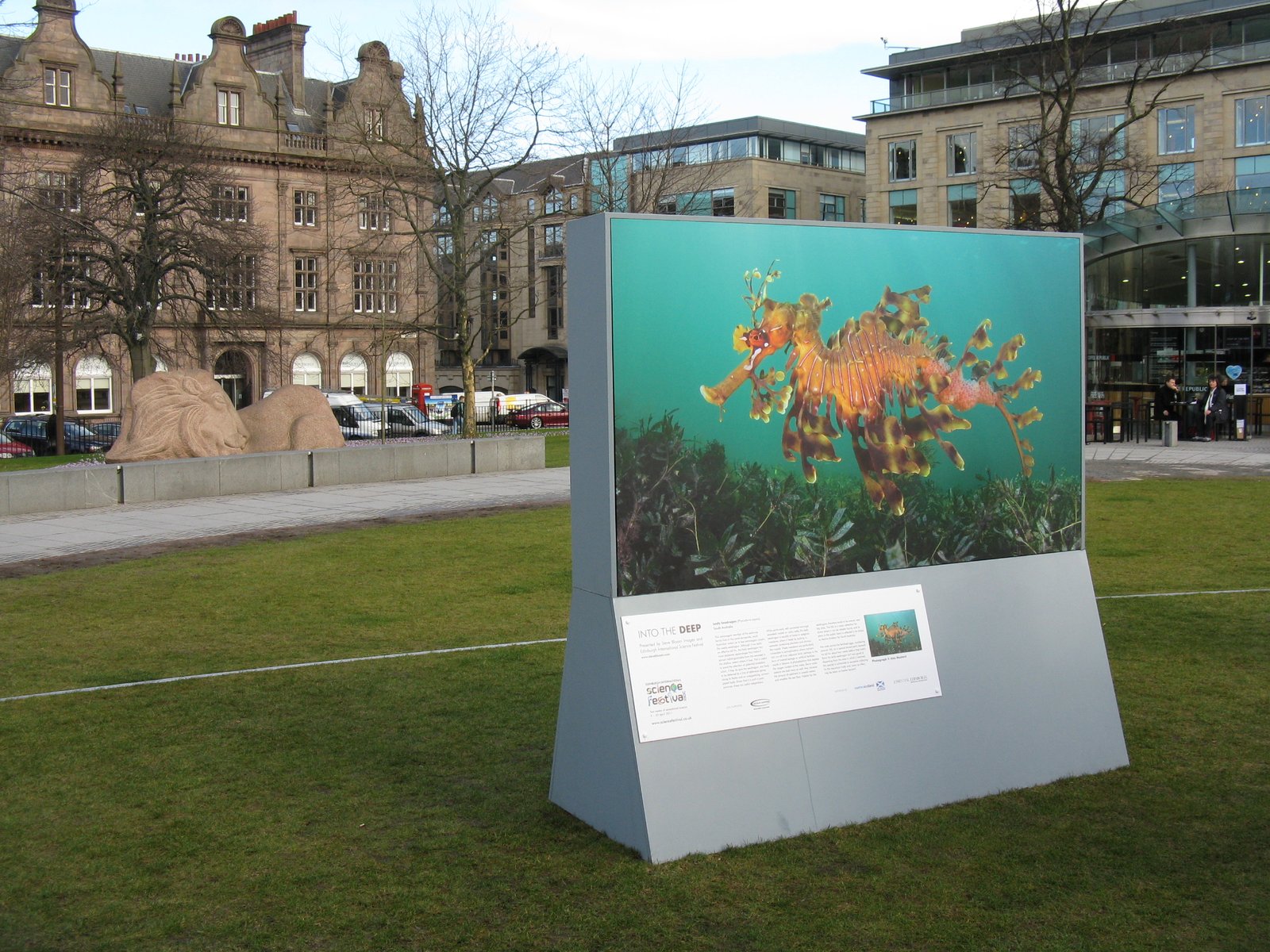 Conservation Efforts: Protecting an Underwater Treasure (image credits: wikimedia)