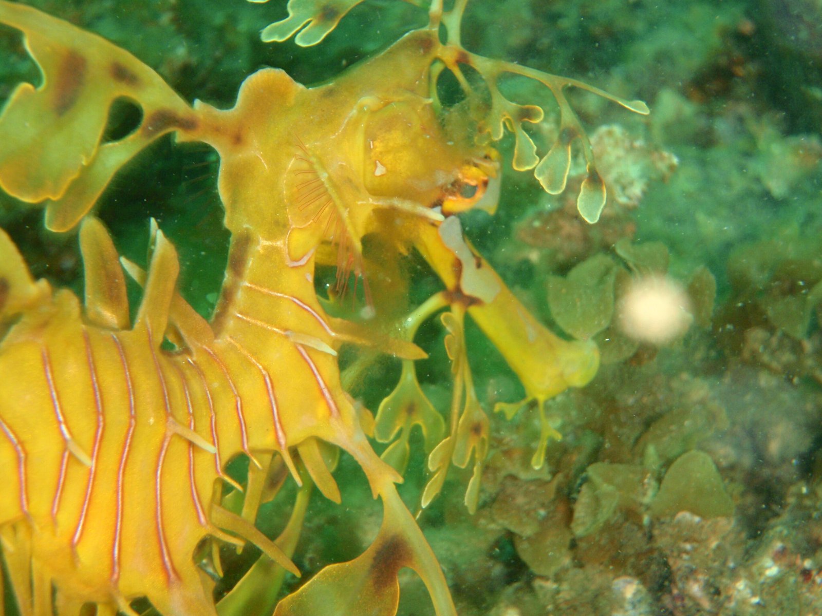 Scientific Research and New Discoveries (image credits: wikimedia)