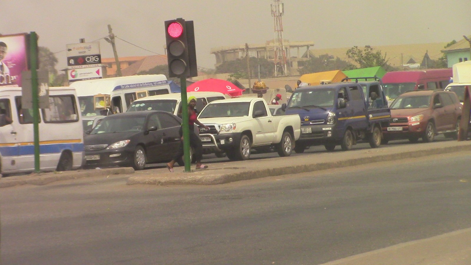 The Dark Side: Environmental Impact on Birdsong (image credits: wikimedia)