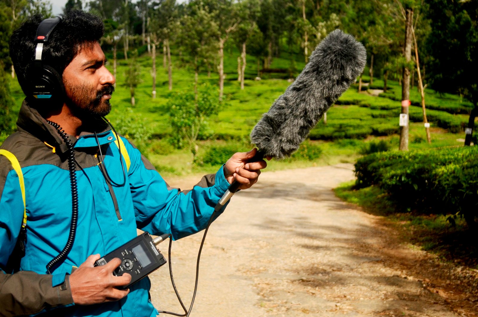 Recording and Studying Bird Mimicry (image credits: wikimedia)