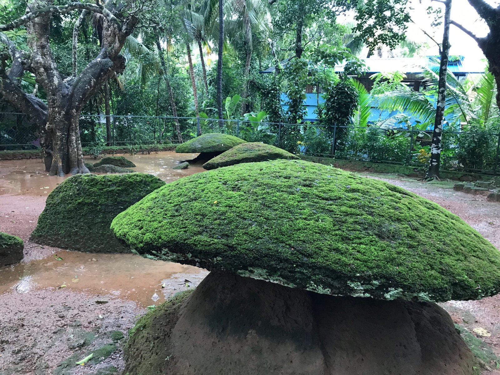 Challenges in Preserving the Stones (image credits: wikimedia)