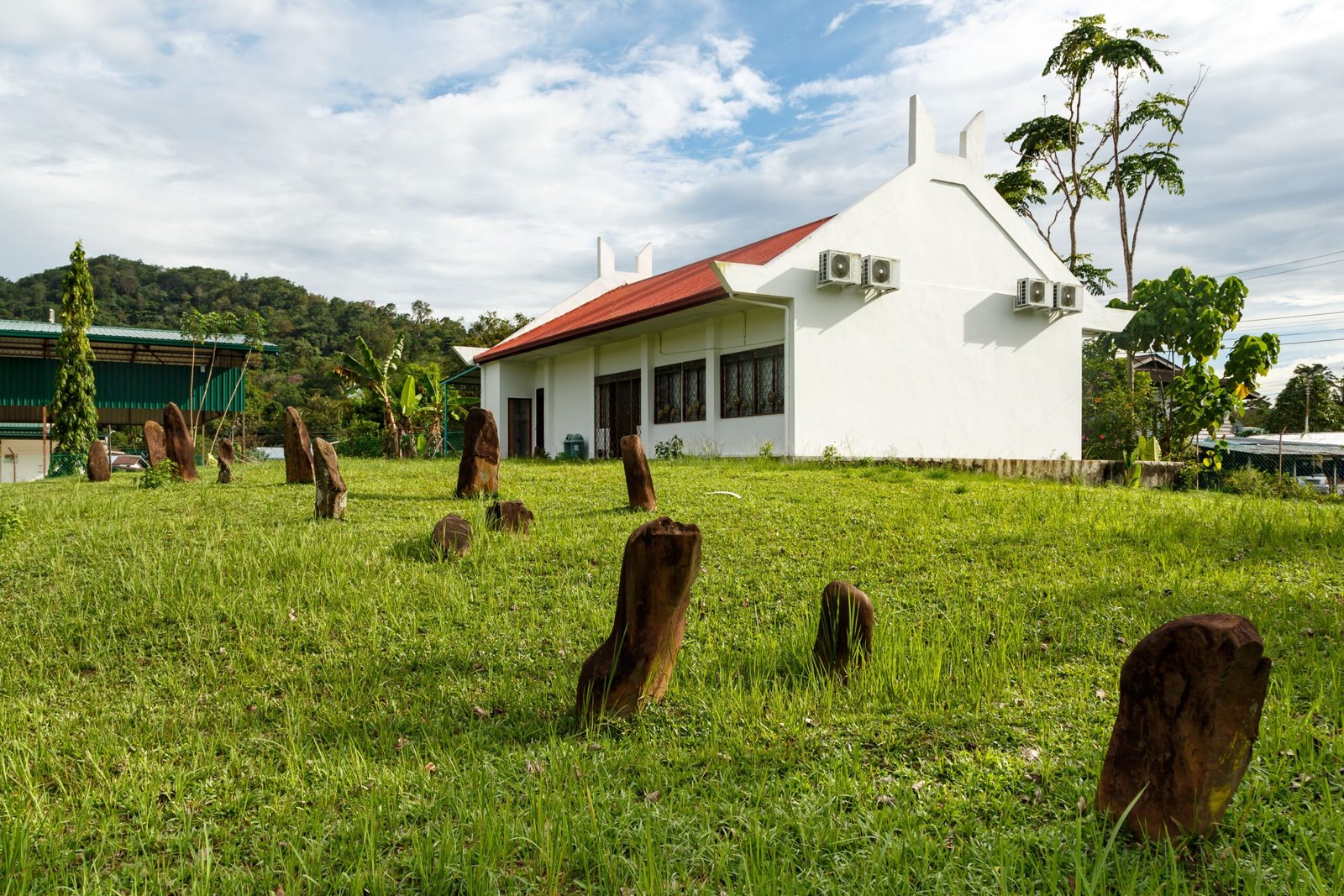 Community Involvement and Rediscovery (image credits: wikimedia)