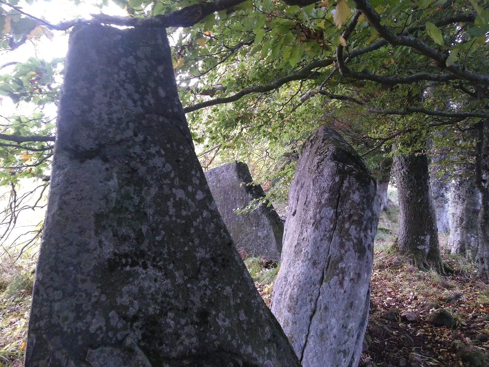The Emotional Power of Ancient Stones (image credits: wikimedia)