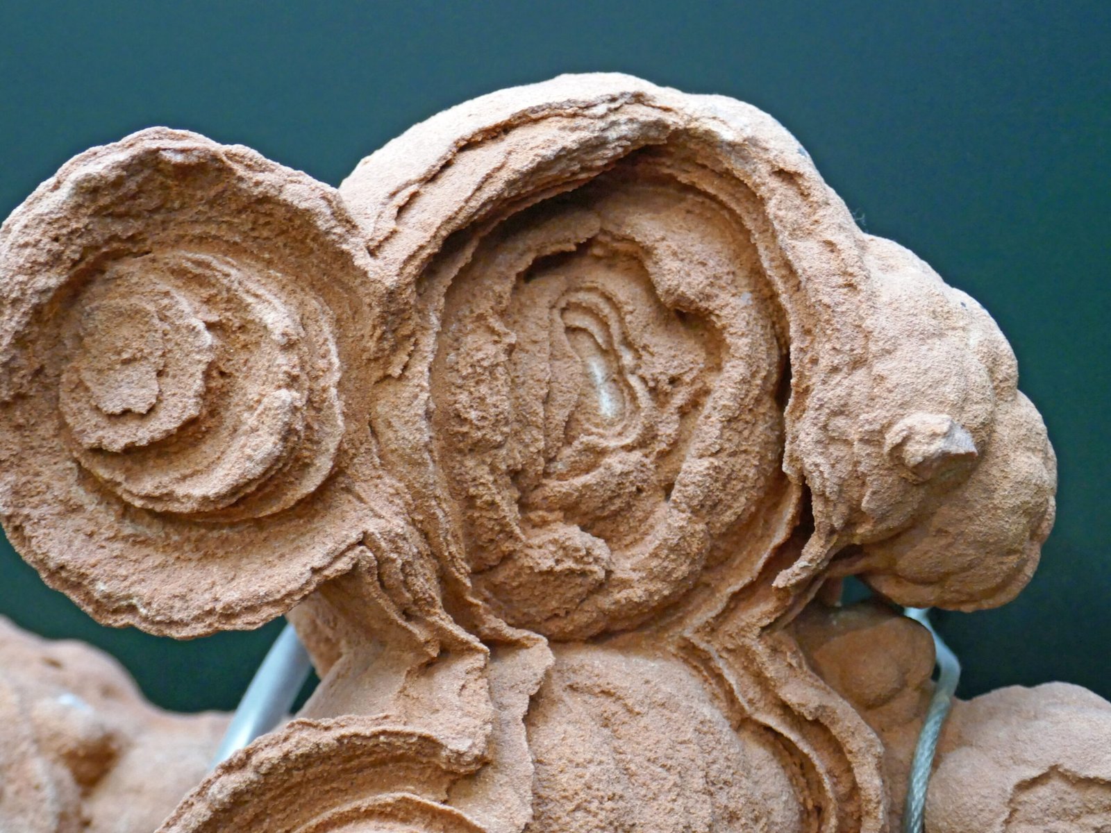 Stromatolites: Time Capsules of Earth’s History (image credits: wikimedia)