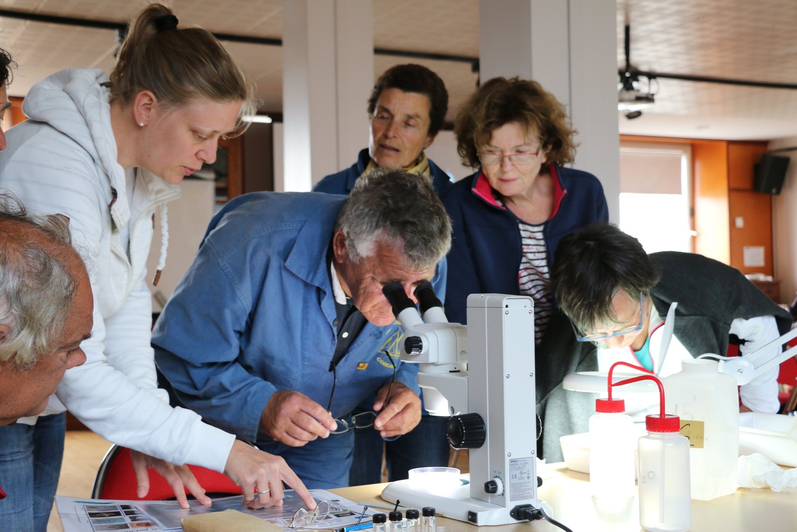 The Role of Citizen Scientists: Engaging the Public (image credits: wikimedia)