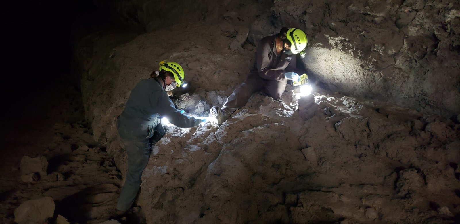 The Guano Harvesters (image credits: wikimedia)
