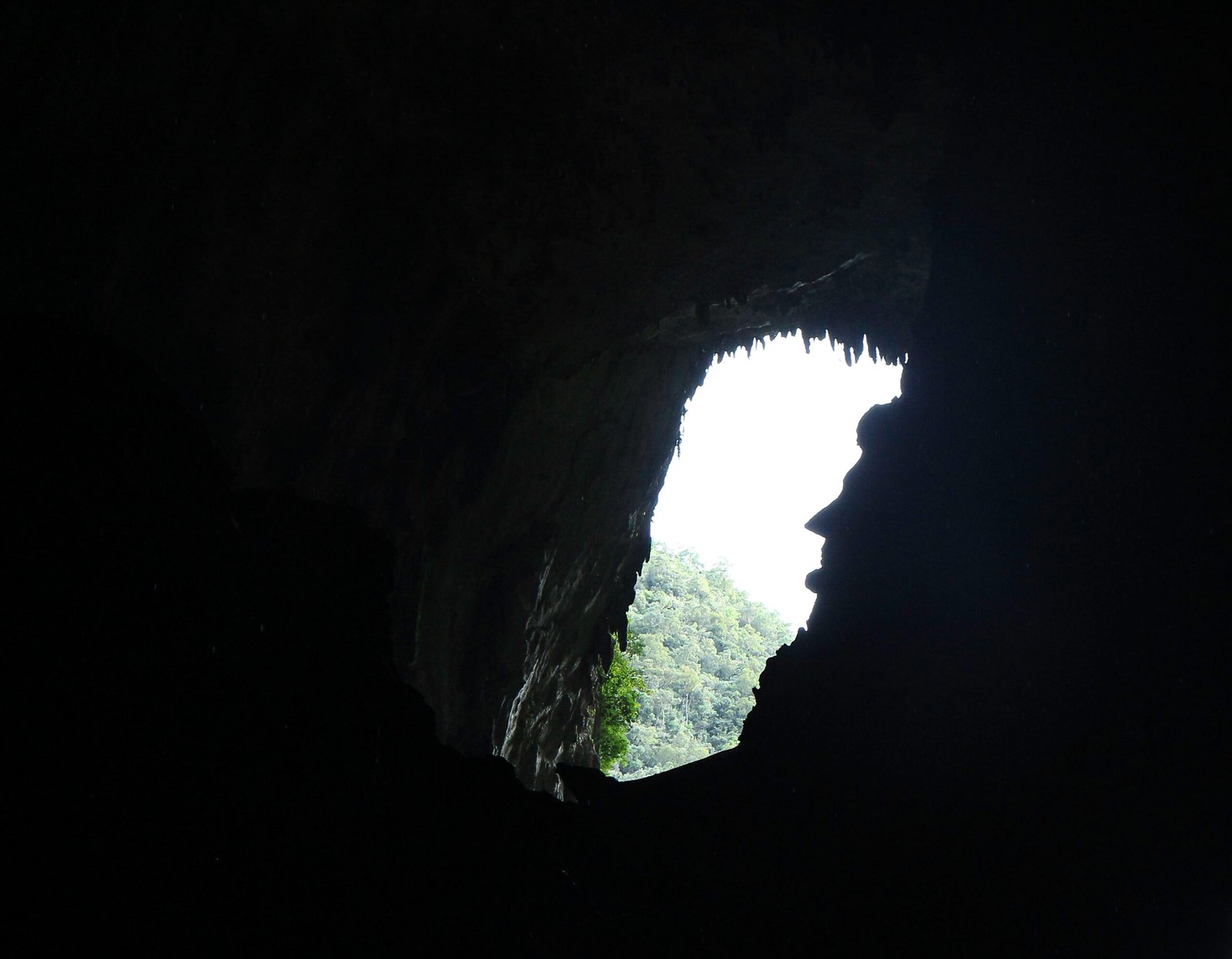 Risks and Dangers for Humans (image credits: wikimedia)