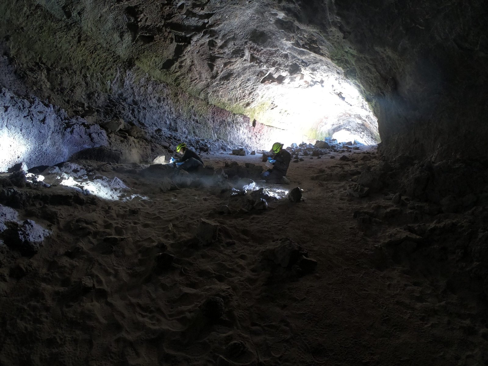 Scientific Exploration and Discovery (image credits: wikimedia)