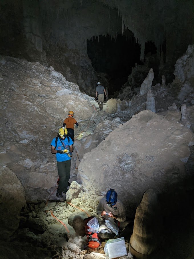 Future Prospects for Guano (image credits: wikimedia)