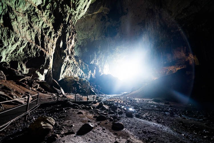 There’s a Cave in Sarawak With So Much Bat Poop, It’s Basically a Natural Economy