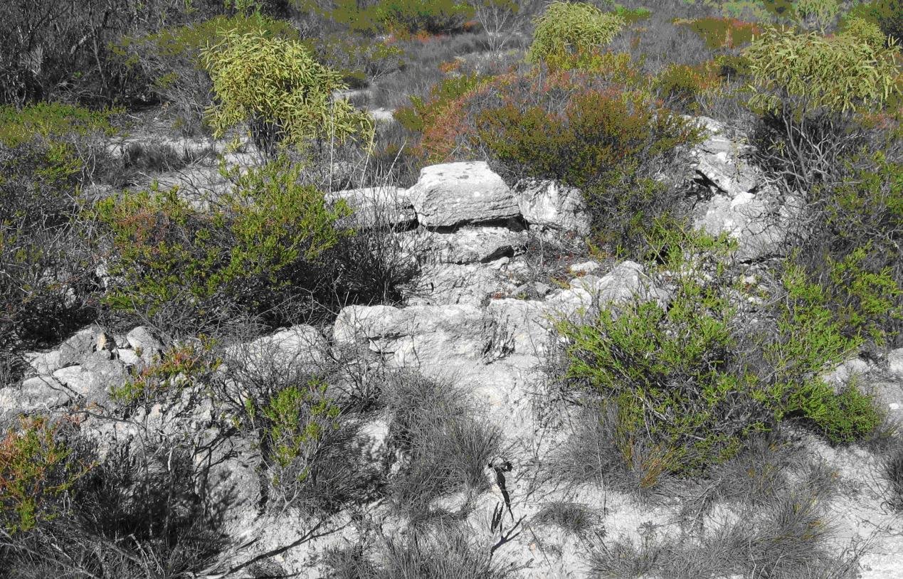 A Perfect Home for Prehistoric Peoples (image credits: wikimedia)