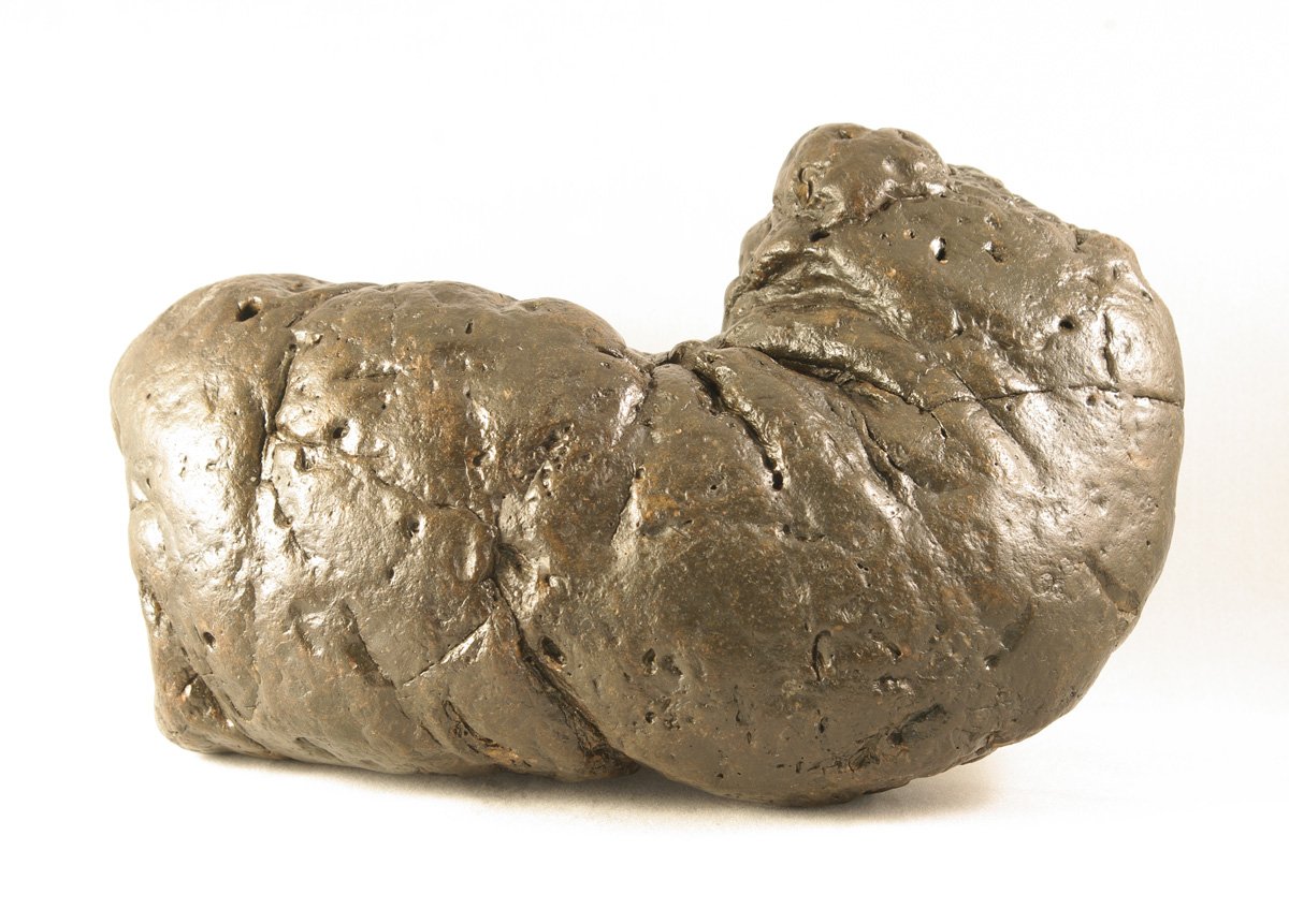 How Dinosaur Poop Becomes Fossilized (image credits: wikimedia)