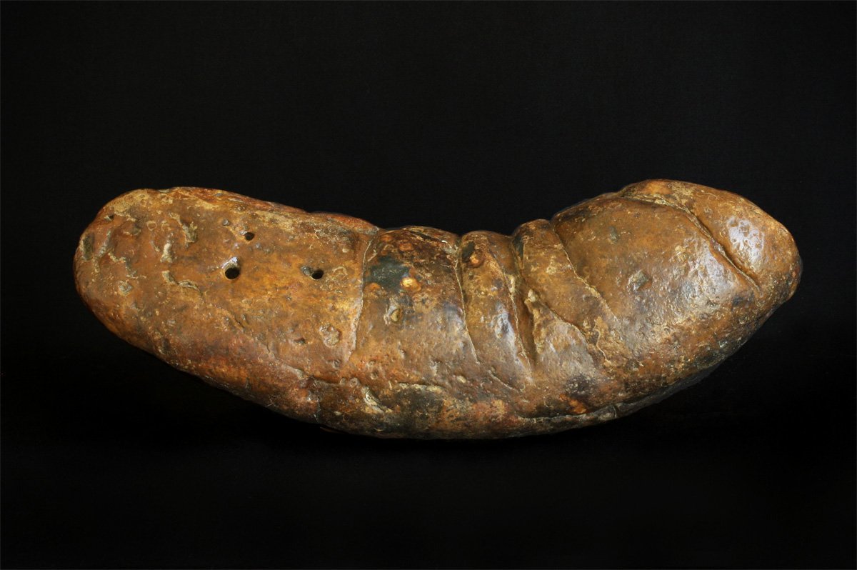 Fossilized Poop and the Science of Decay (image credits: wikimedia)