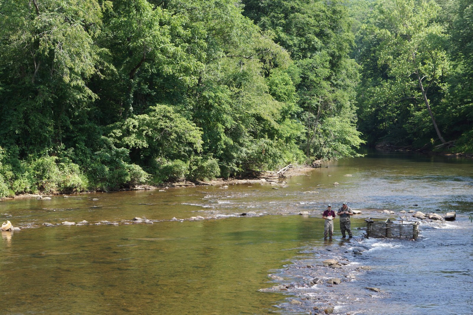 The Future of Georgia’s Waters (image credits: wikimedia)