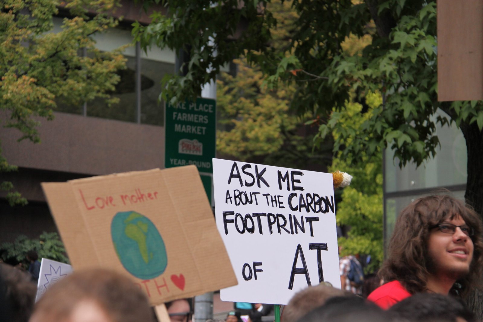 Environmental Impact: AI’s Carbon Footprint (image credits: wikimedia)