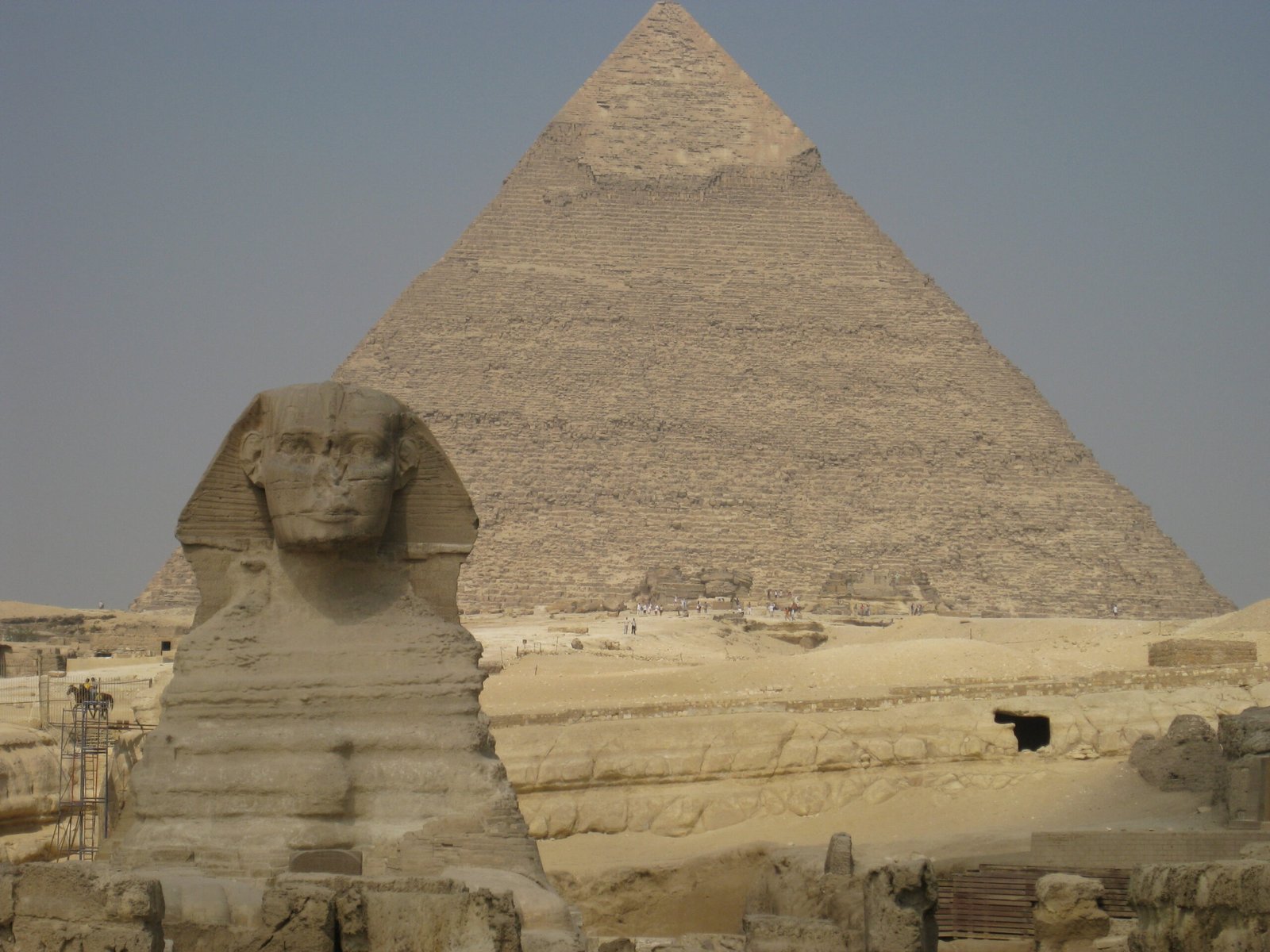 Animals and Nature: The Sphinx’s Place in the Desert Ecosystem (image credits: wikimedia)