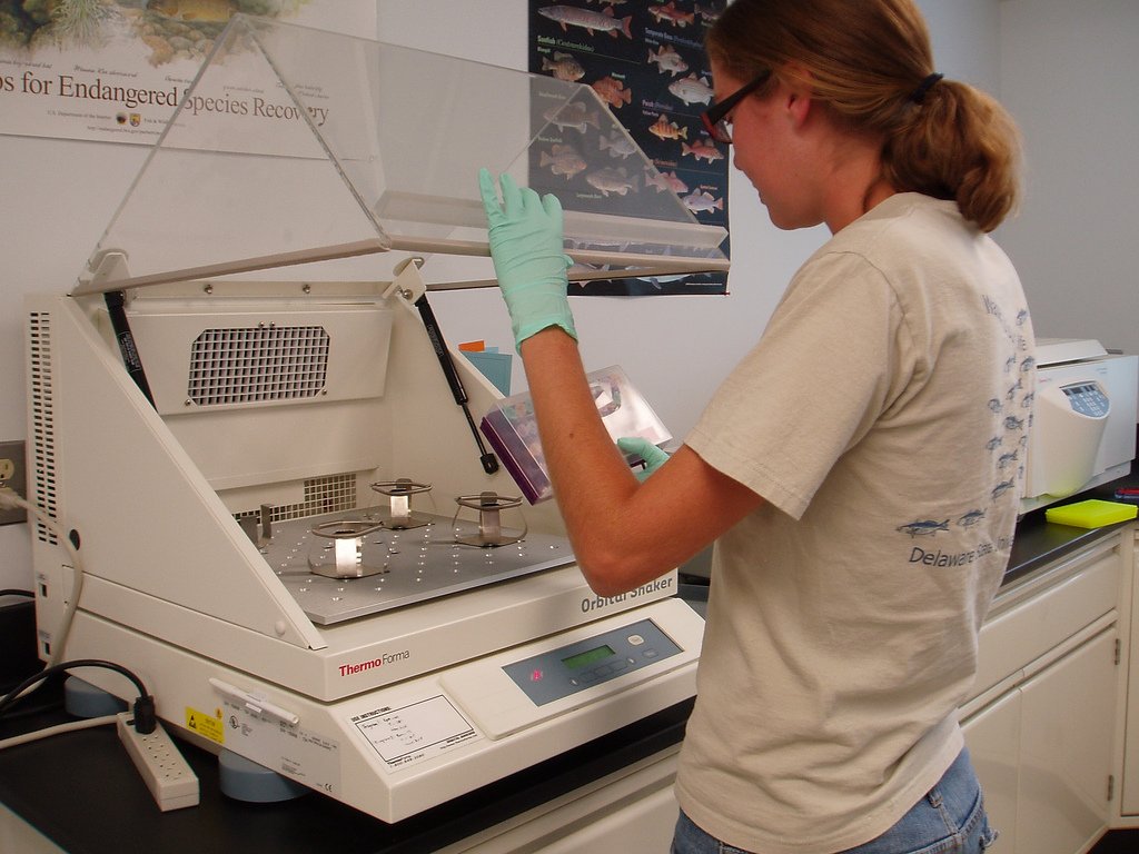Cloning: Science Fiction or Conservation Reality? (image credits: wikimedia)