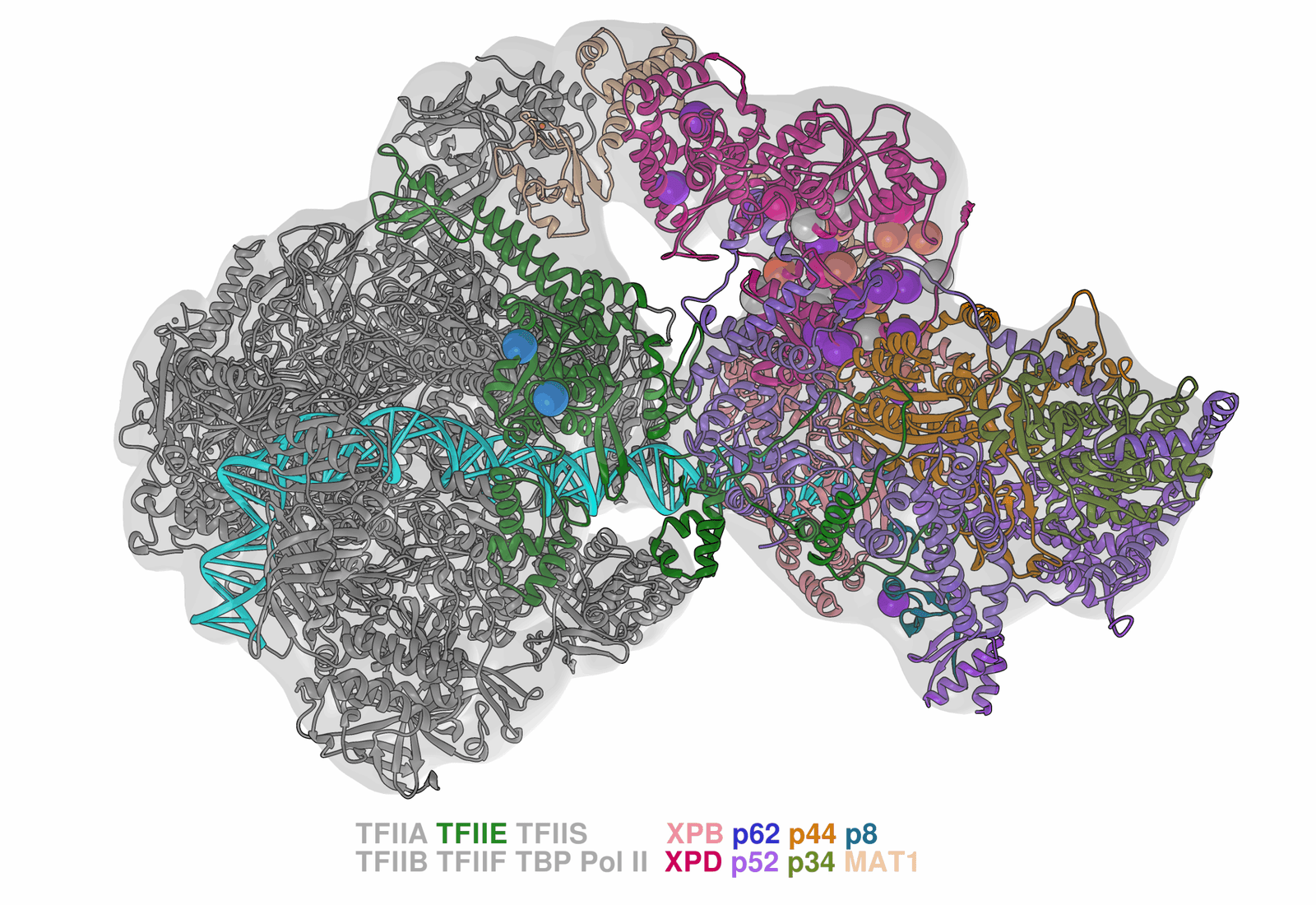 Gene Banks: Safeguarding Life for the Future (image credits: wikimedia)