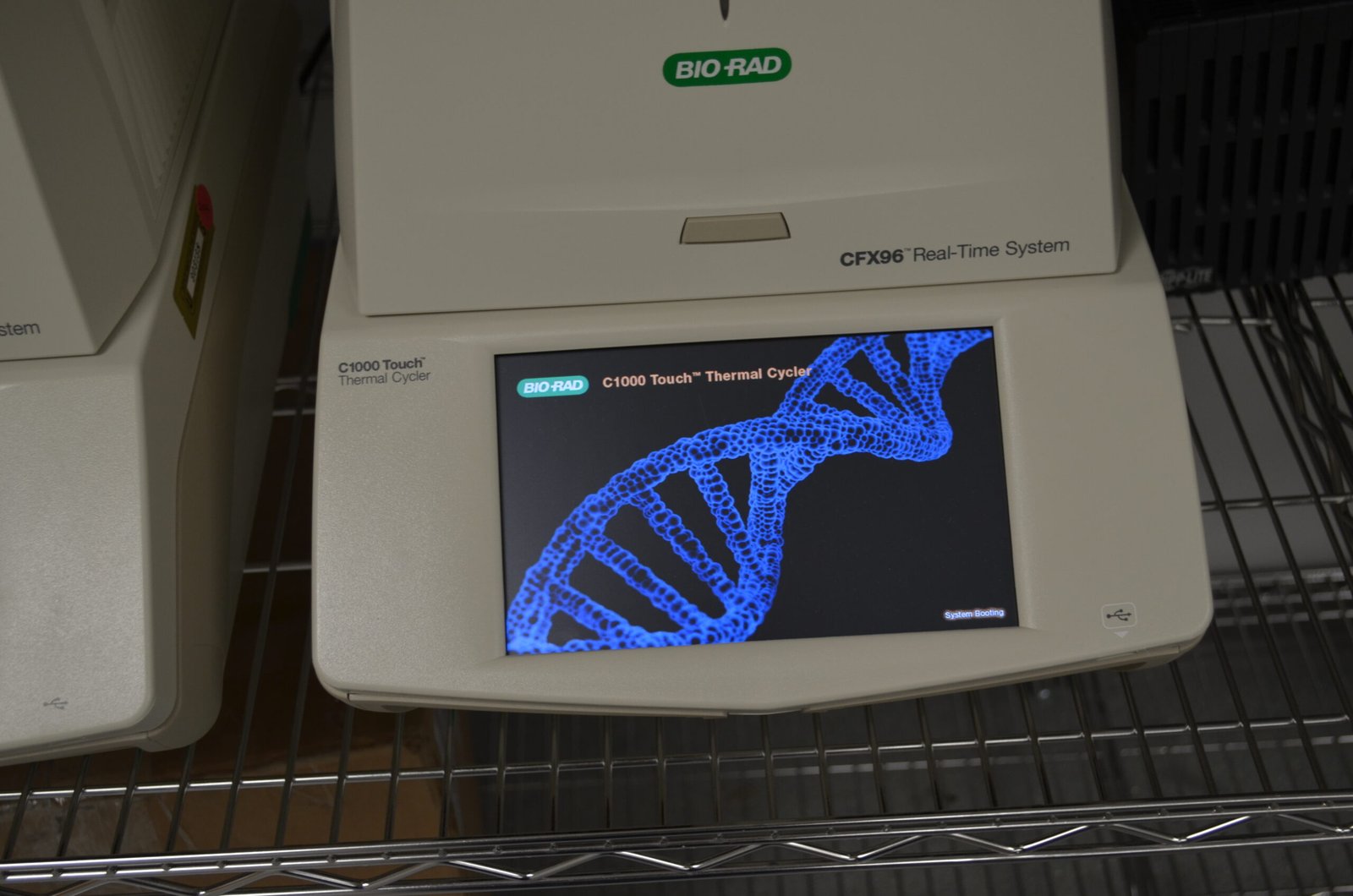 Genetics and the Fight Against Wildlife Disease (image credits: wikimedia)