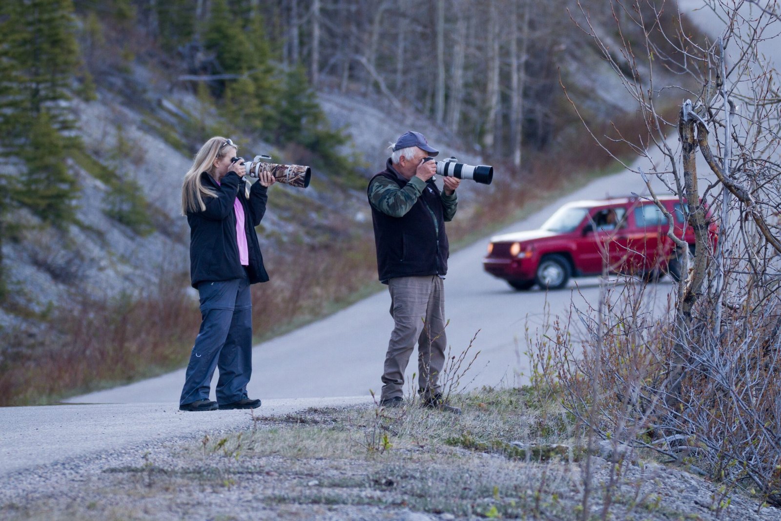 Telephoto Lenses: Reaching the Unreachable (image credits: wikimedia)