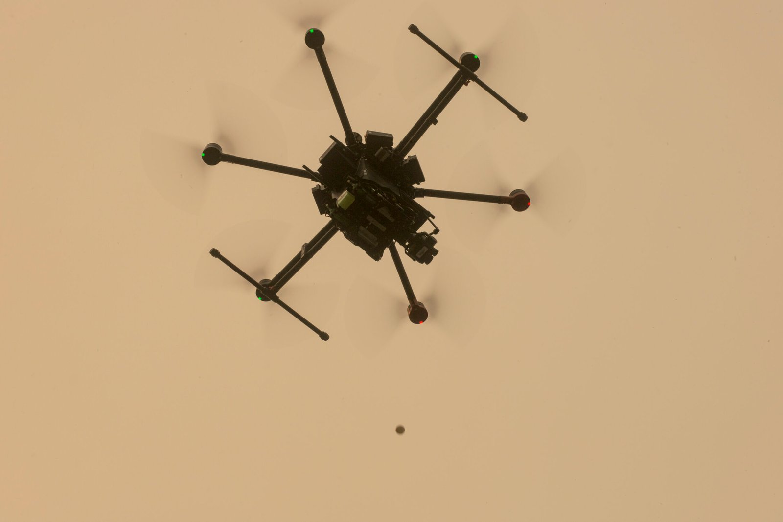 Forecasting Wildfire Risks and Forest Health (image credits: wikimedia)