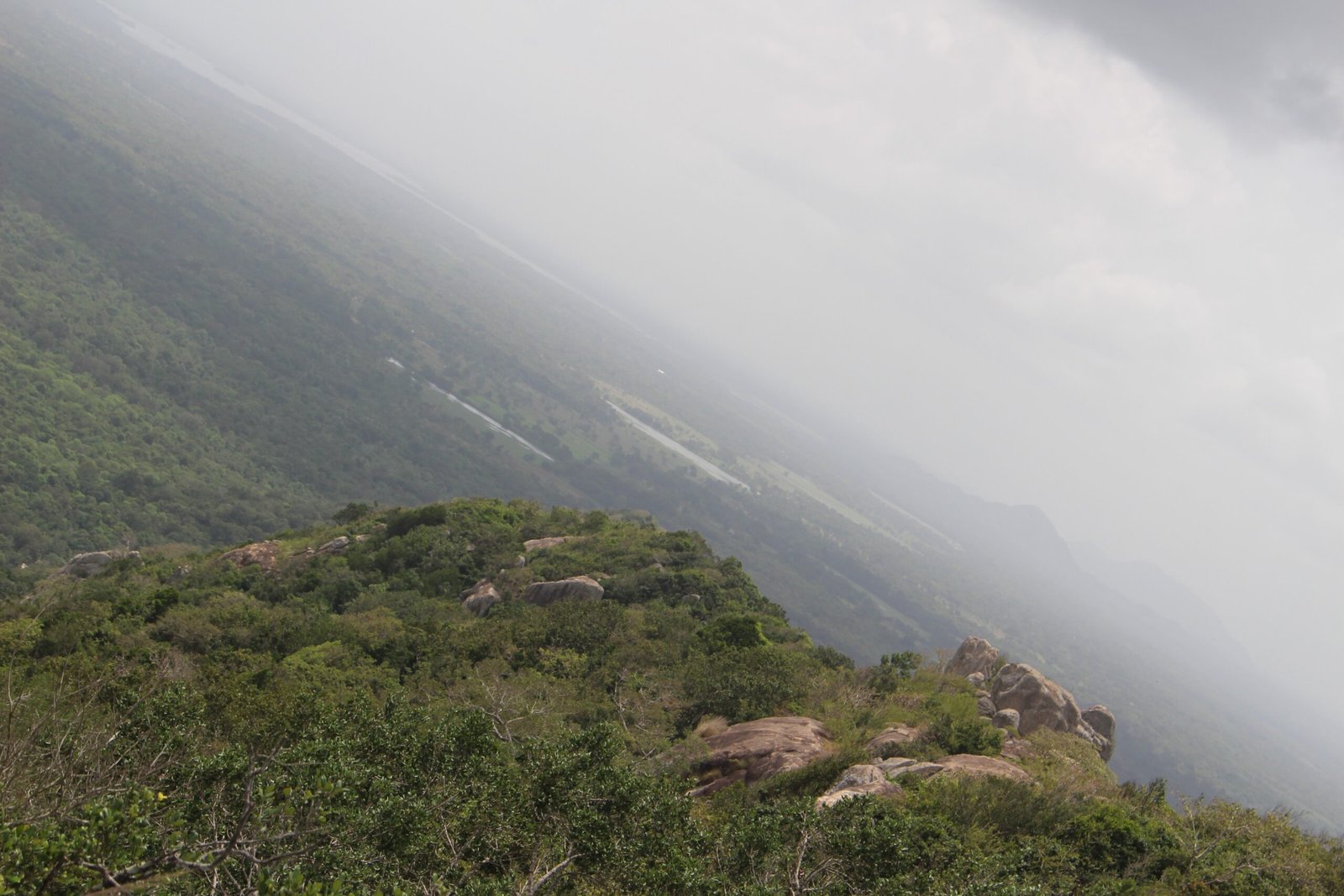 Reconstructing Lost Worlds and Extinct Ecosystems (image credits: wikimedia)