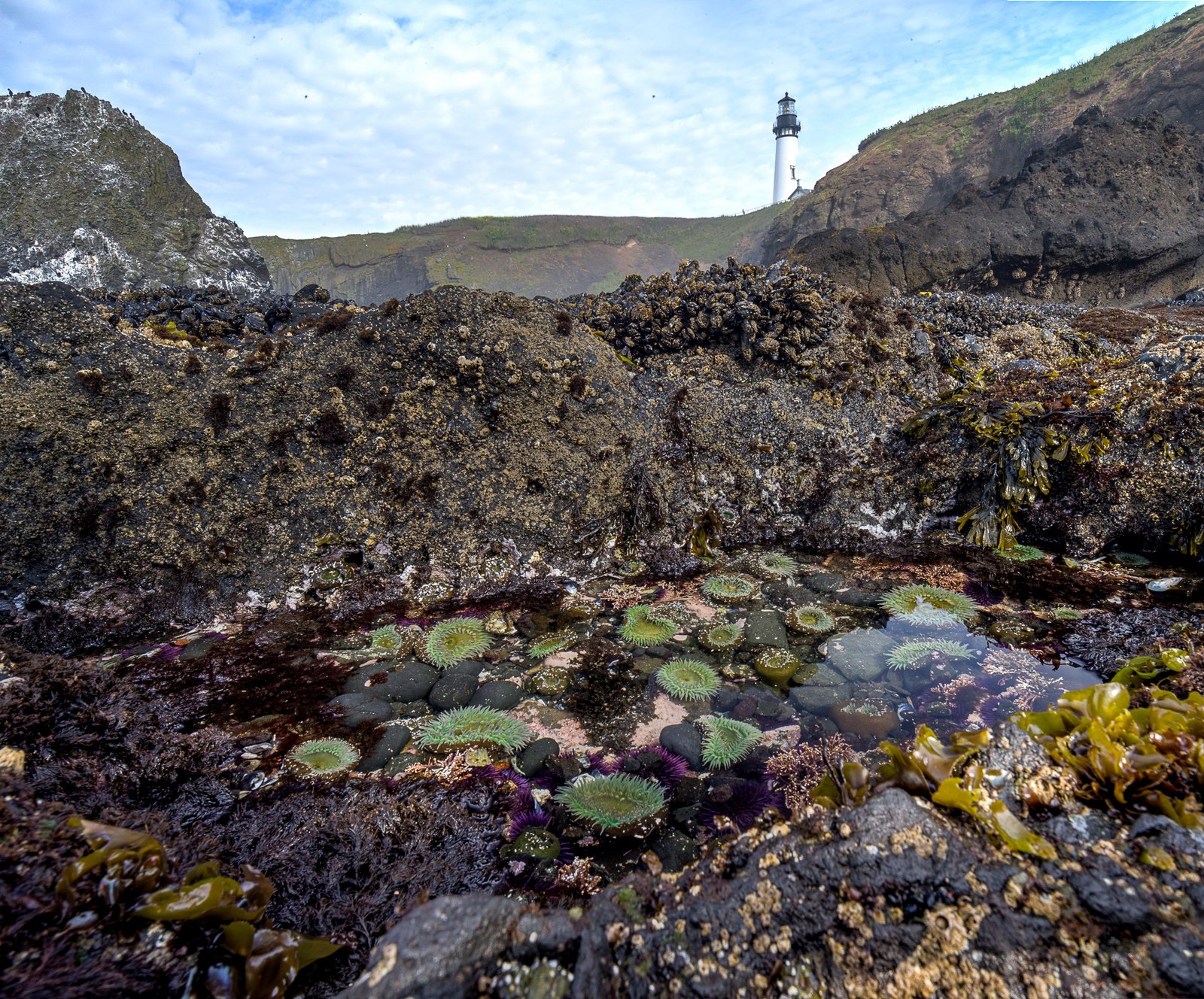 Human Impact: Fragile Worlds at Risk (image credits: wikimedia)