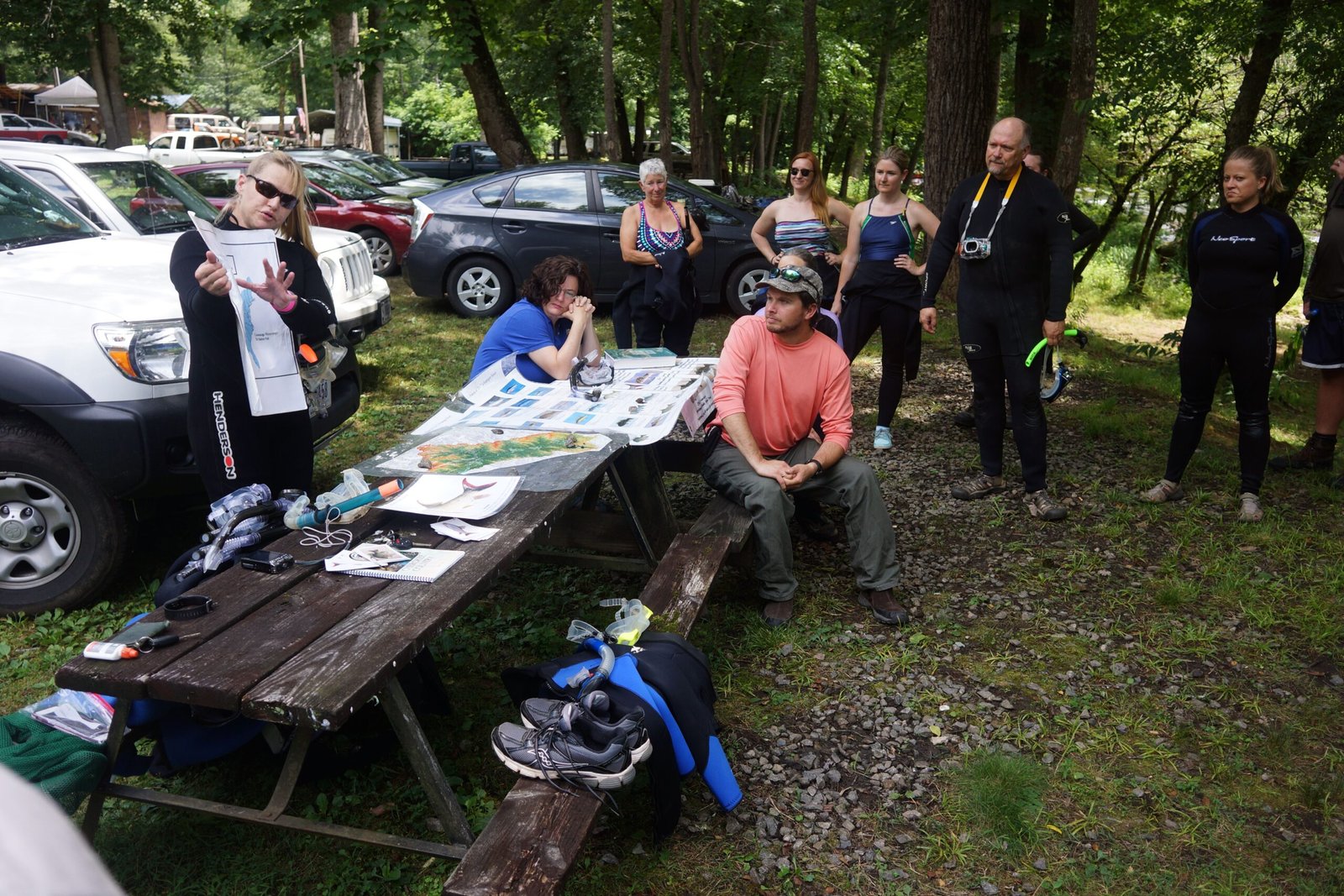 Conservation Efforts and Hope (image credits: wikimedia)