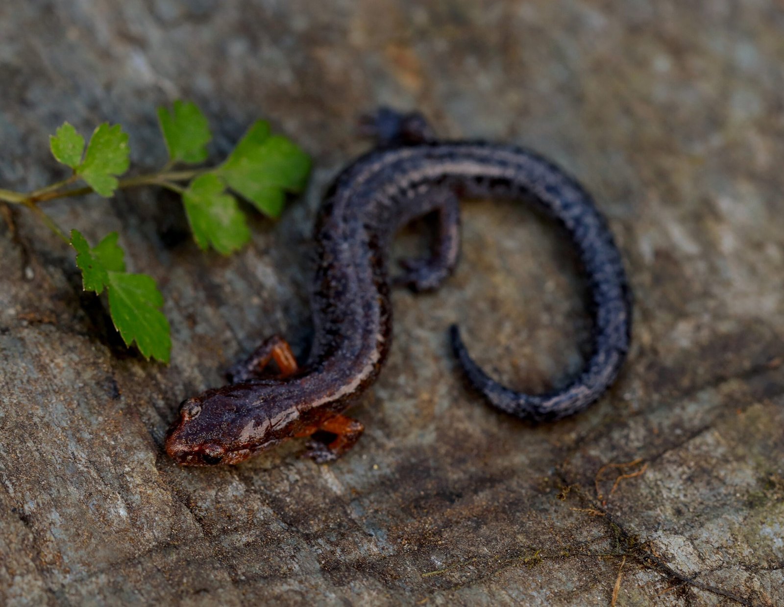 An Invitation to Explore (image credits: wikimedia)