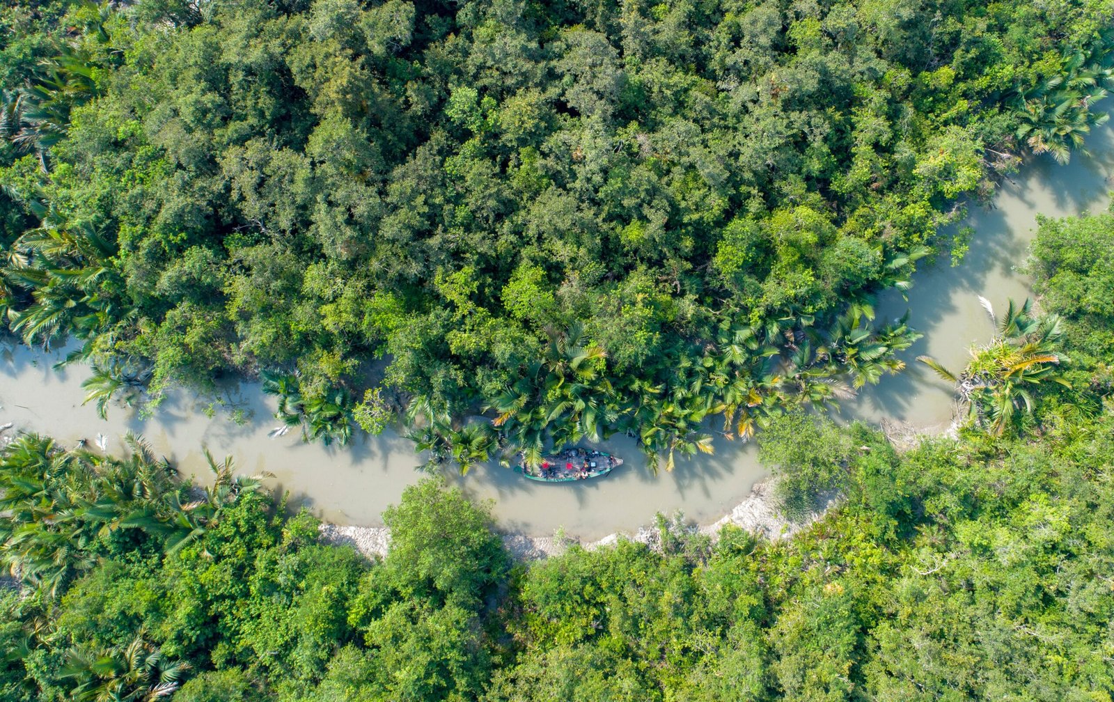The Importance of the Sundarbans Ecosystem (image credits: wikimedia)