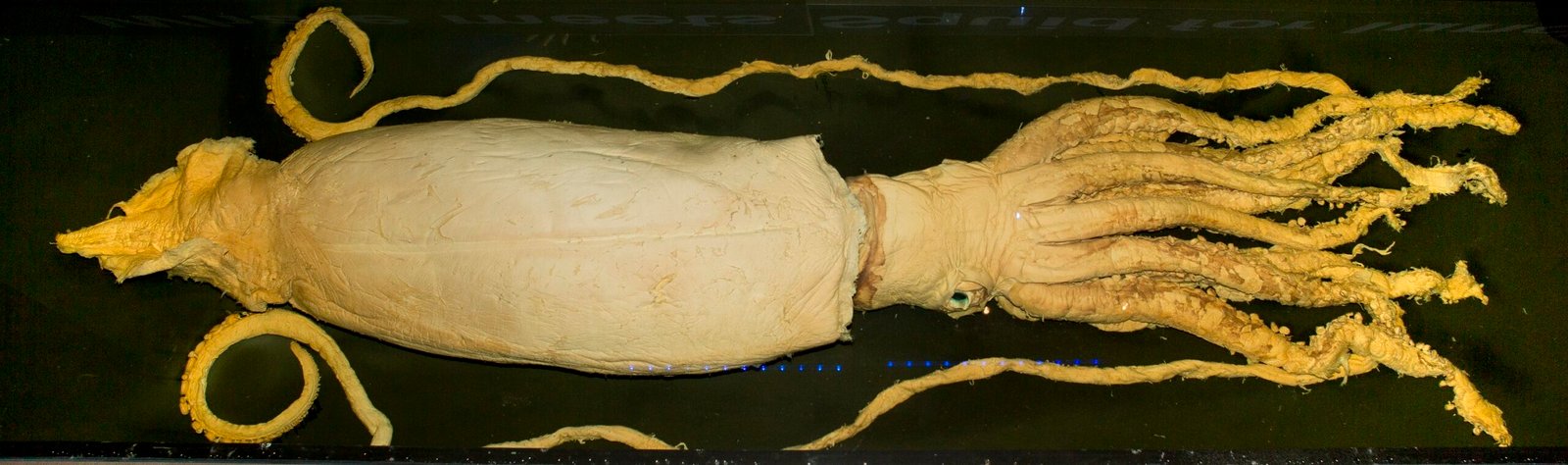 Scientific Investigations: Separating Fact from Fiction (image credits: wikimedia)