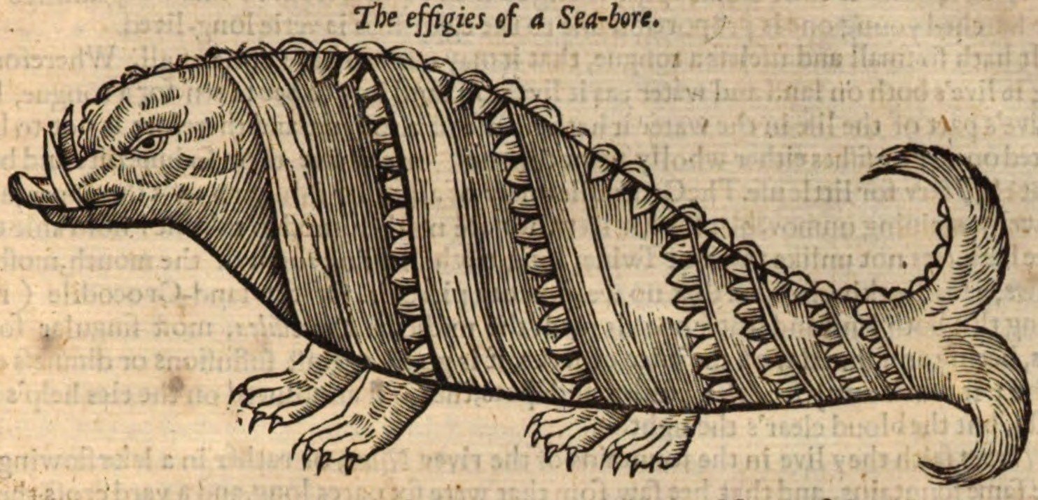 Global Variations: Sea Monsters Around the World (image credits: wikimedia)
