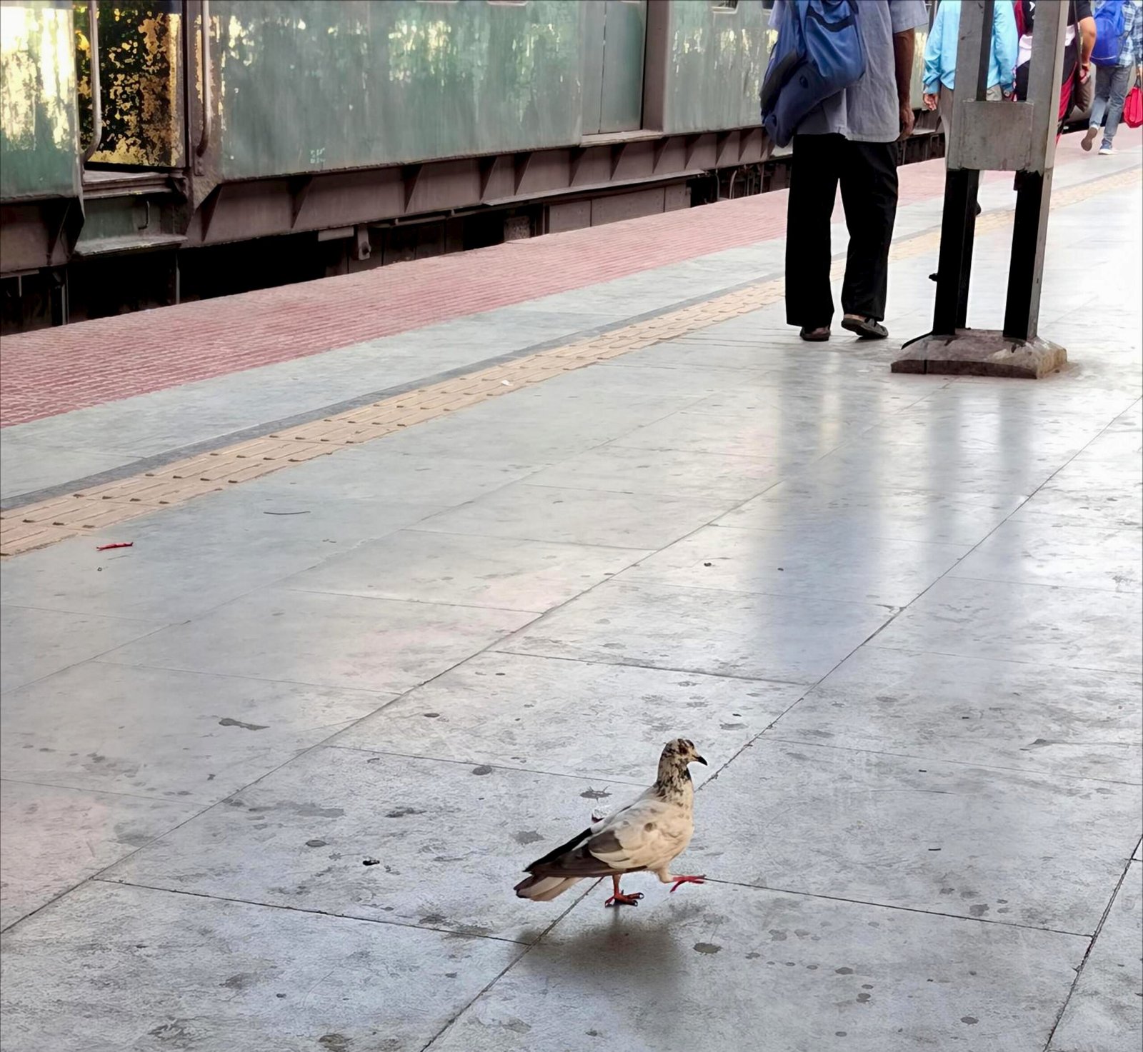 The Future of Urban Navigation: Man vs. Nature (image credits: wikimedia)