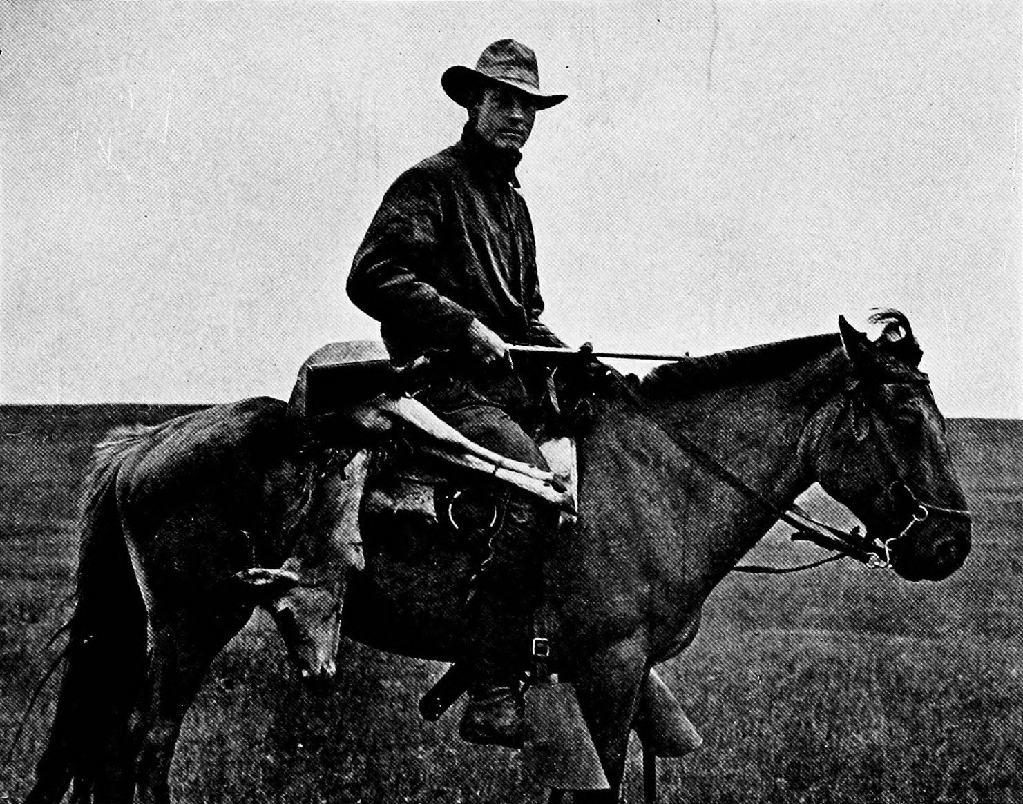 A Serendipitous Discovery: Roy Chapman Andrews and the 1920s Expeditions (image credits: wikimedia)