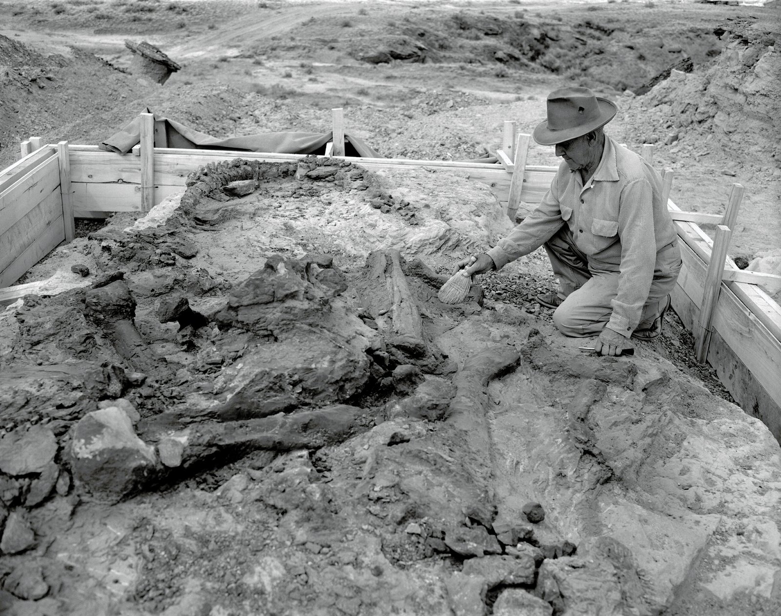 Modern Expeditions: New Finds and Technologies (image credits: wikimedia)