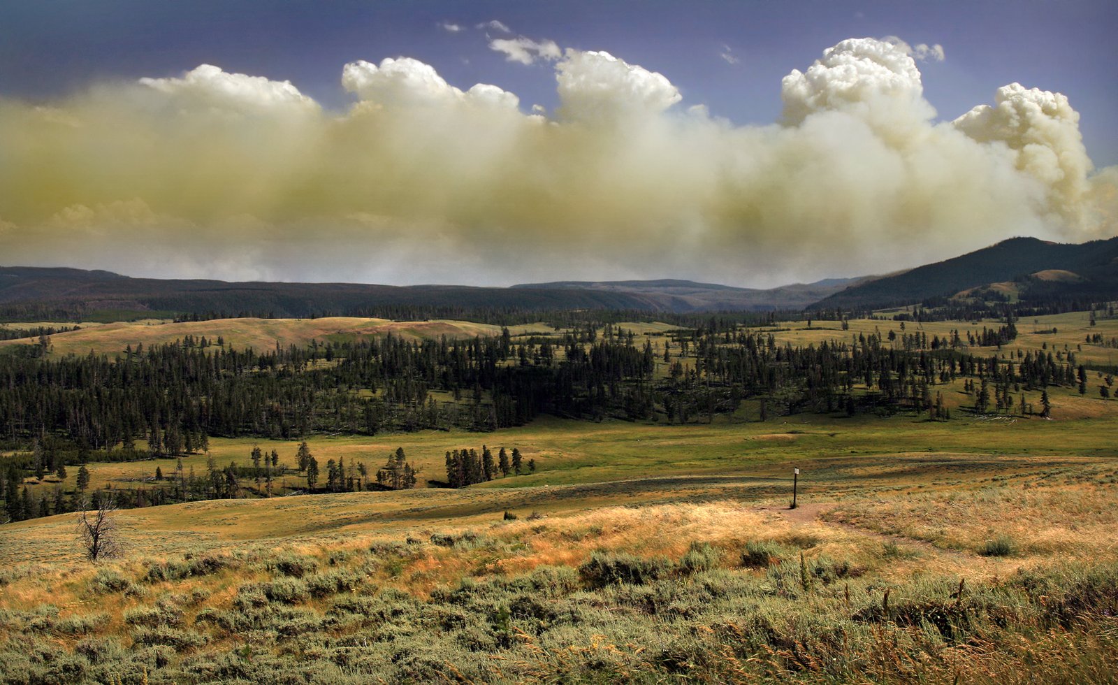 Yellowstone National Park: The Original Conservation Adventure (image credits: wikimedia)