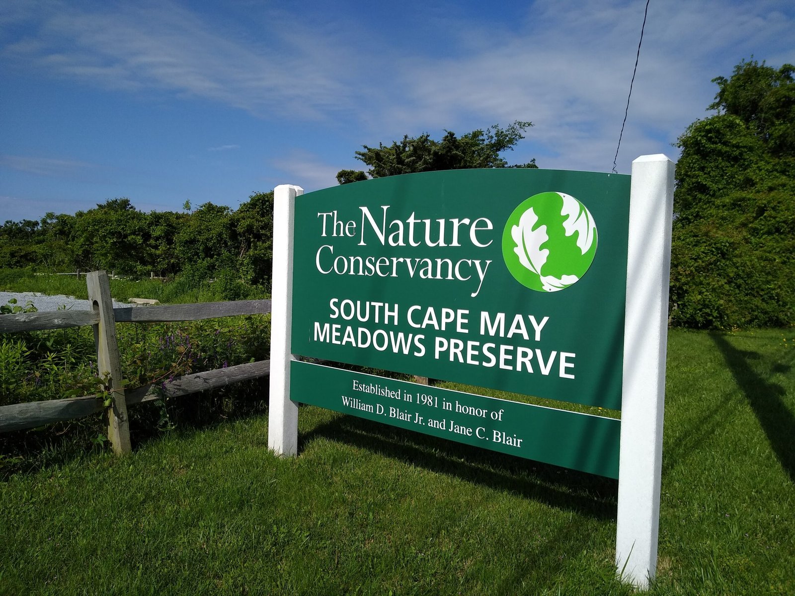 Volunteering at The Nature Conservancy Preserves (image credits: wikimedia)