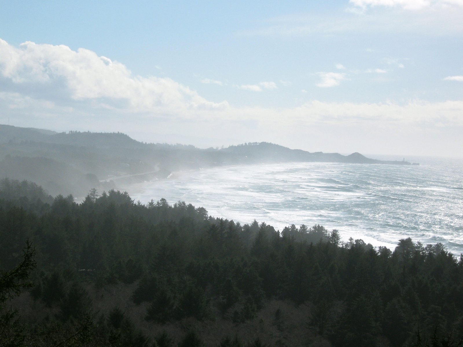 Oregon Coast: Protecting Sea Life and Scenic Shores (image credits: wikimedia)
