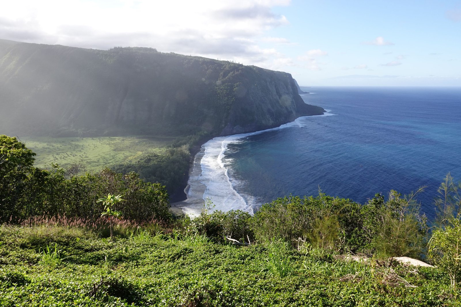 Hawaii’s Big Island: Volcanic Landscapes and Native Forest Restoration (image credits: wikimedia)