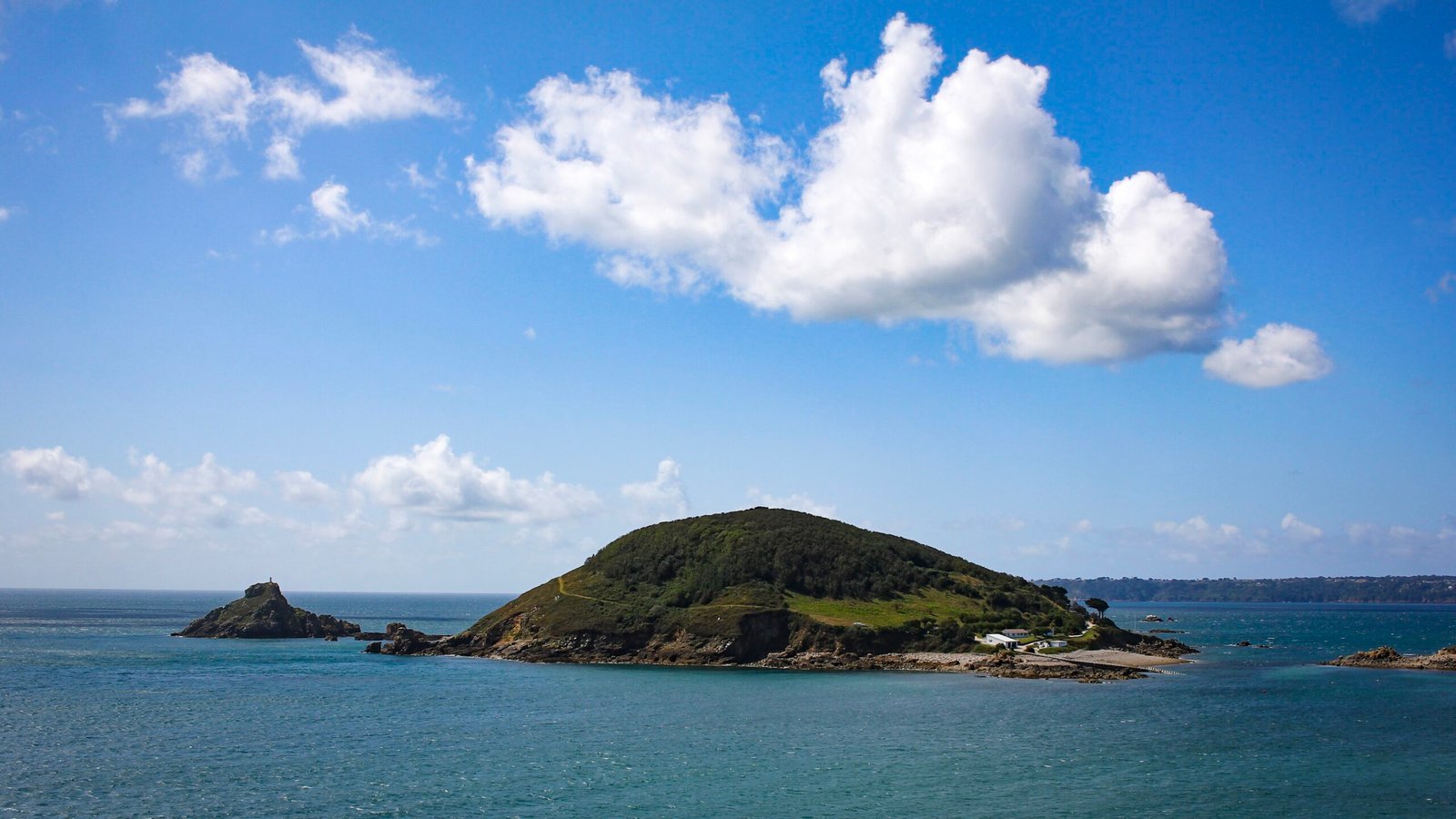 California’s Channel Islands: Marine Sanctuaries and Wildlife Rehabilitation (image credits: wikimedia)