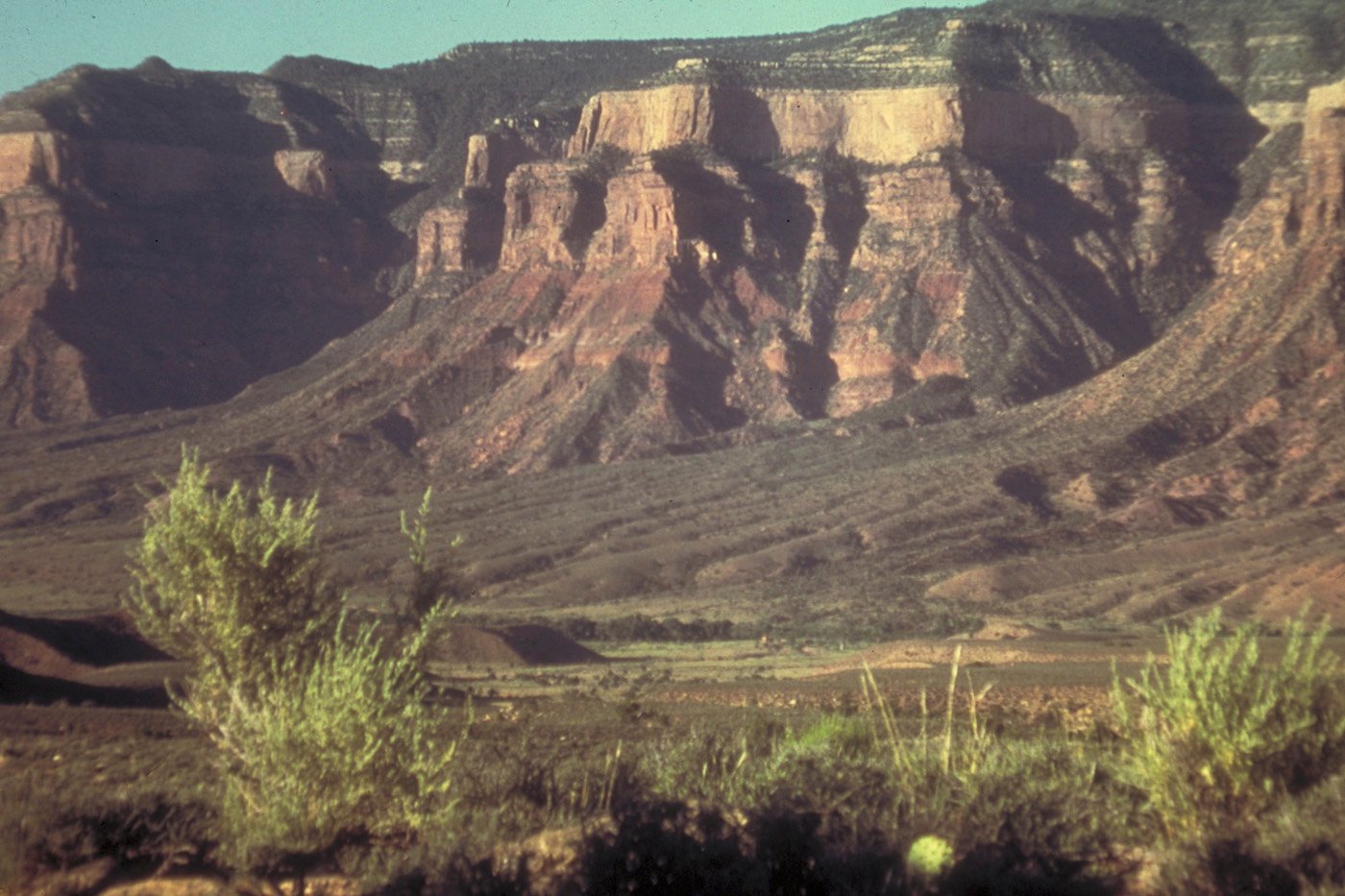 Colorado Rockies: Alpine Conservation Retreats (image credits: wikimedia)