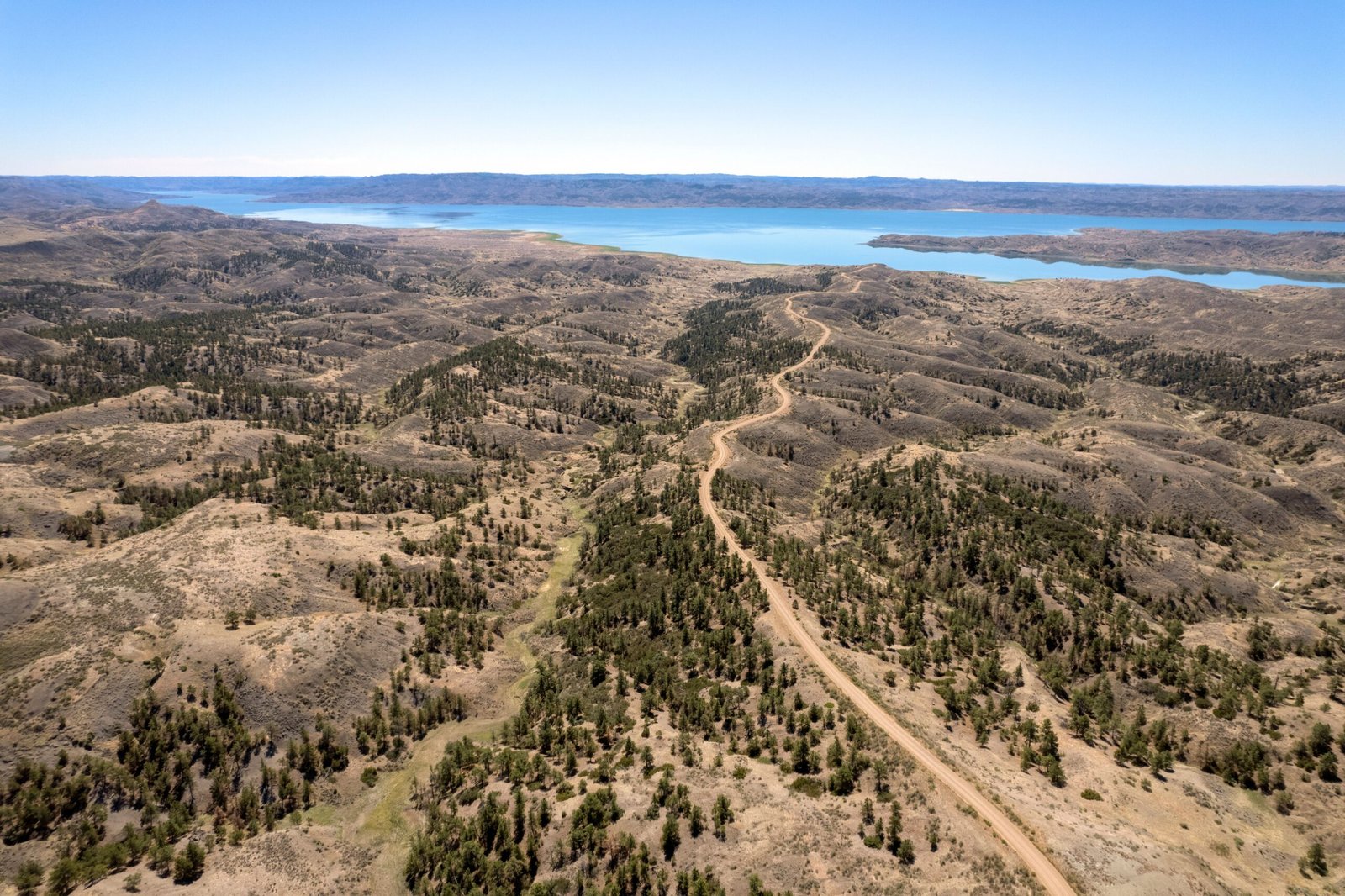Montana’s American Prairie Reserve: Rewilding the Great Plains (image credits: wikimedia)
